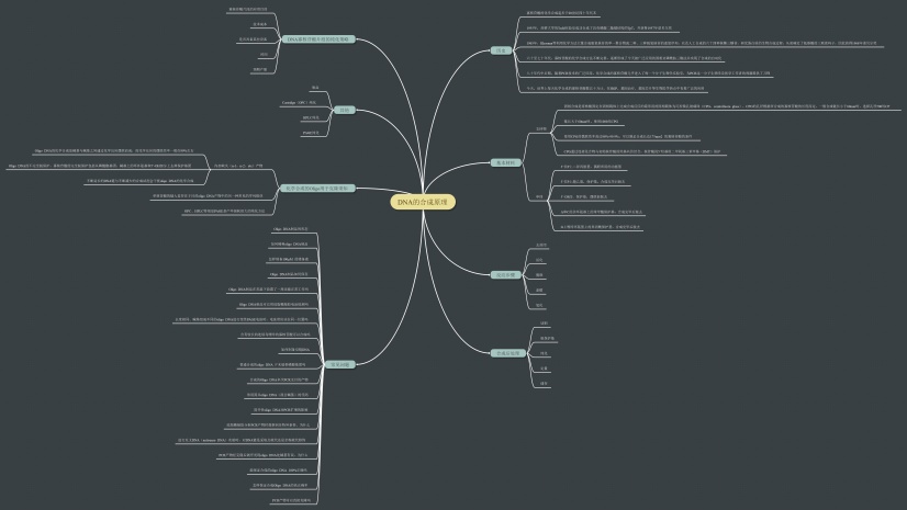 dna的合成原理思维导图