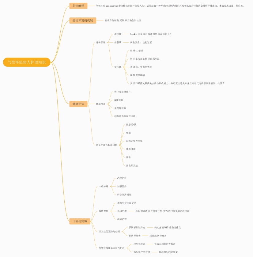 整理的思维导图模板,该模板通过名词解释,病因和发病机制,健康评估