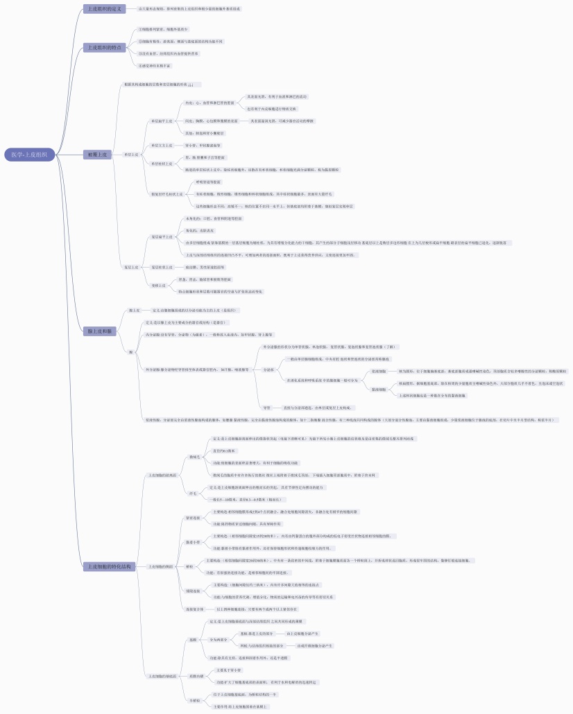医学-上皮组织思维导图