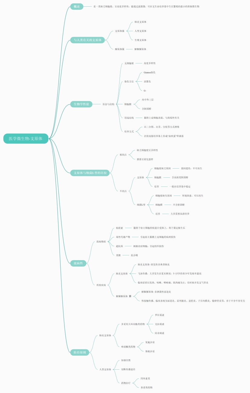 医学微生物支原体思维导图