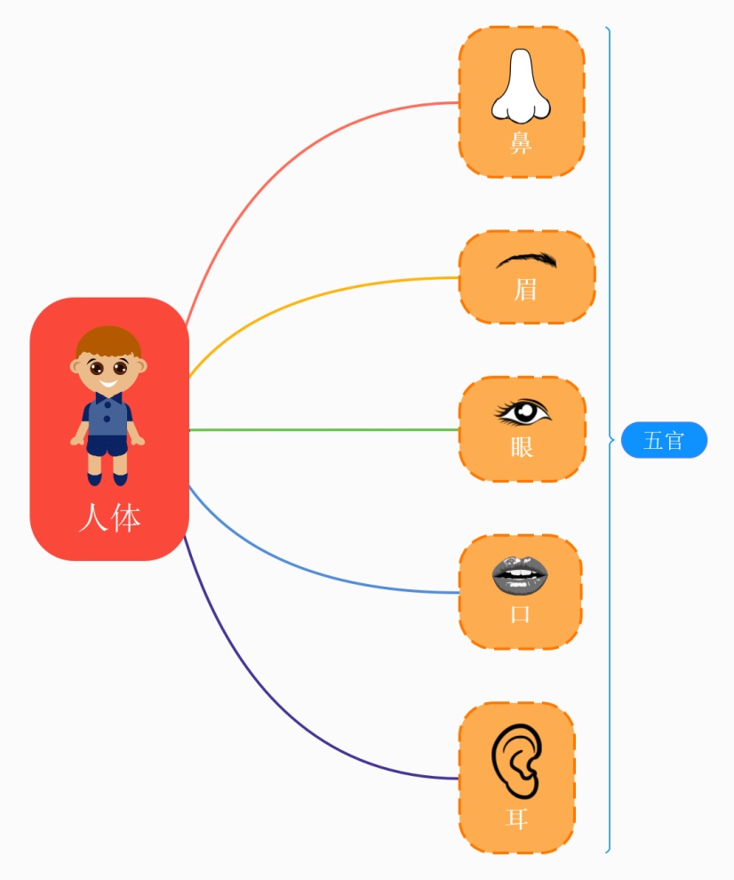 人体五官儿童思维导图