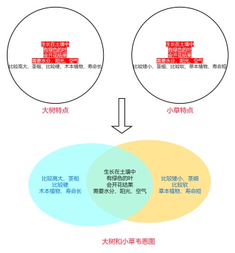 大树和小草韦恩图模板