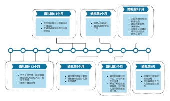 婚礼筹备流程图模板