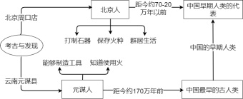 中国人类发展流程图模板