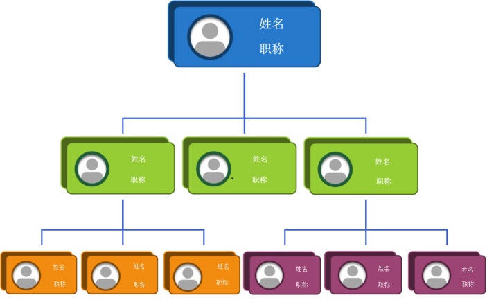 公司组织结构分布图