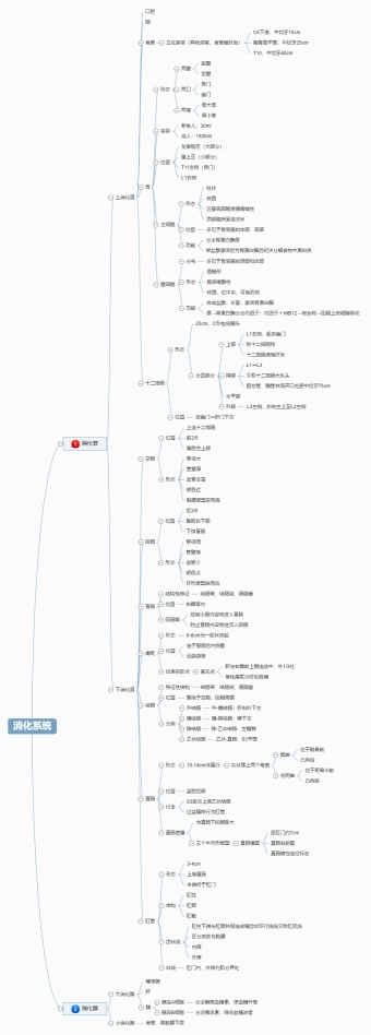 消化系统思维导图模板