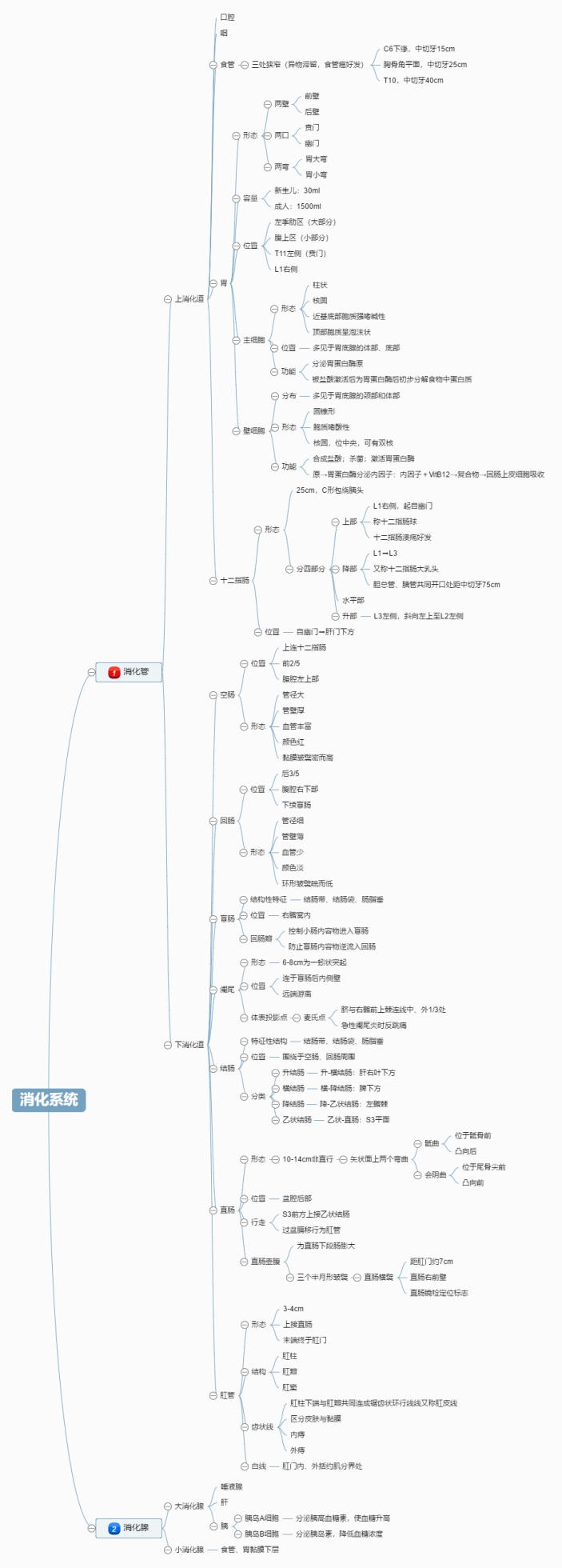 消化系统思维导图