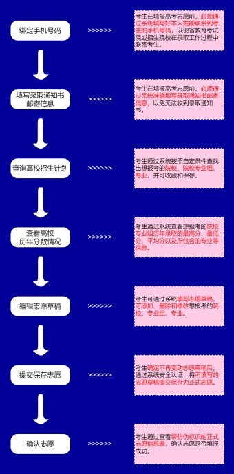 高考志愿填报流程图模板