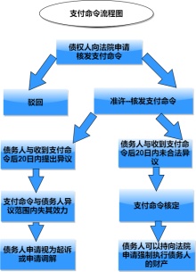 支付命令流程图