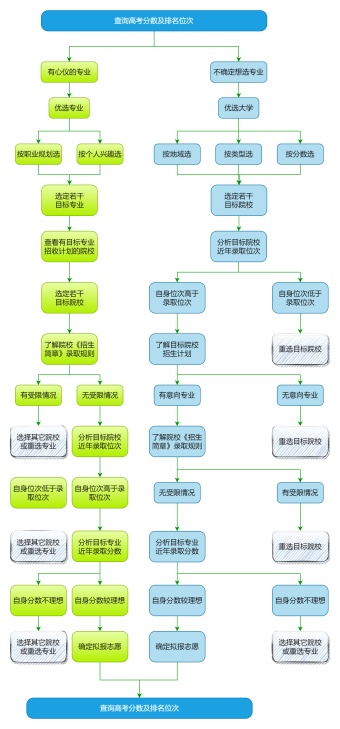 高考志愿填报流程图模板