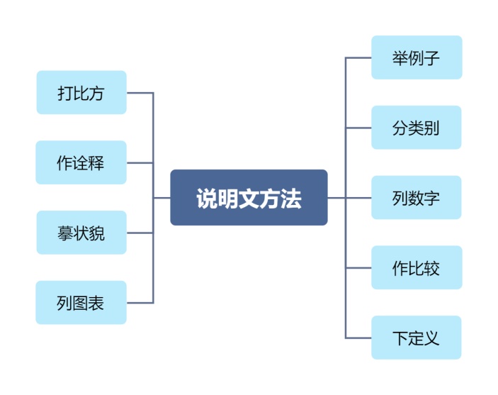 说明文方法思维导图