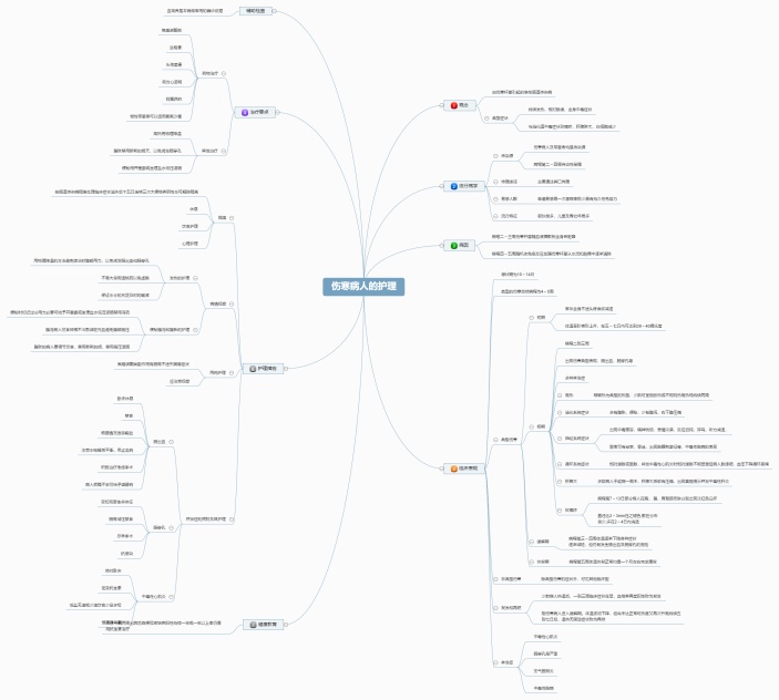 伤寒病人的护理思维导图