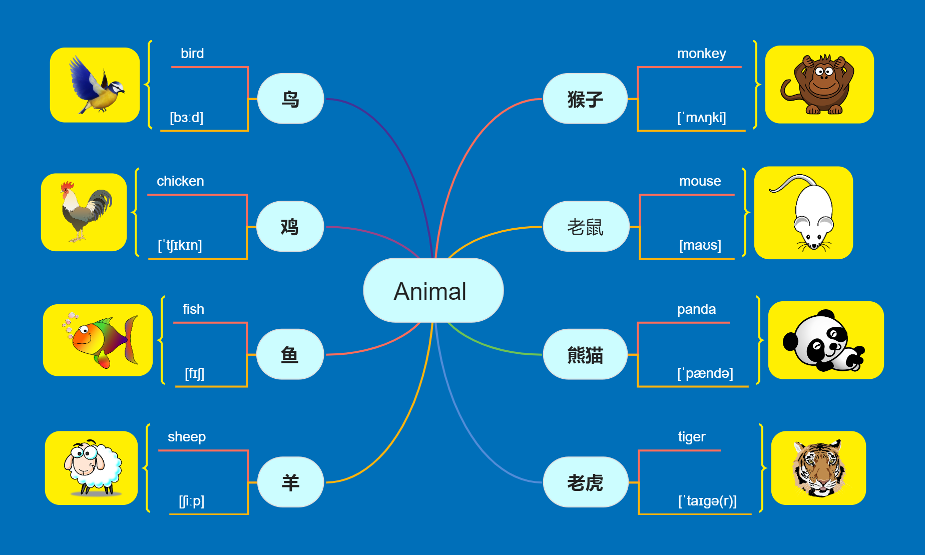 動物單詞思維導圖