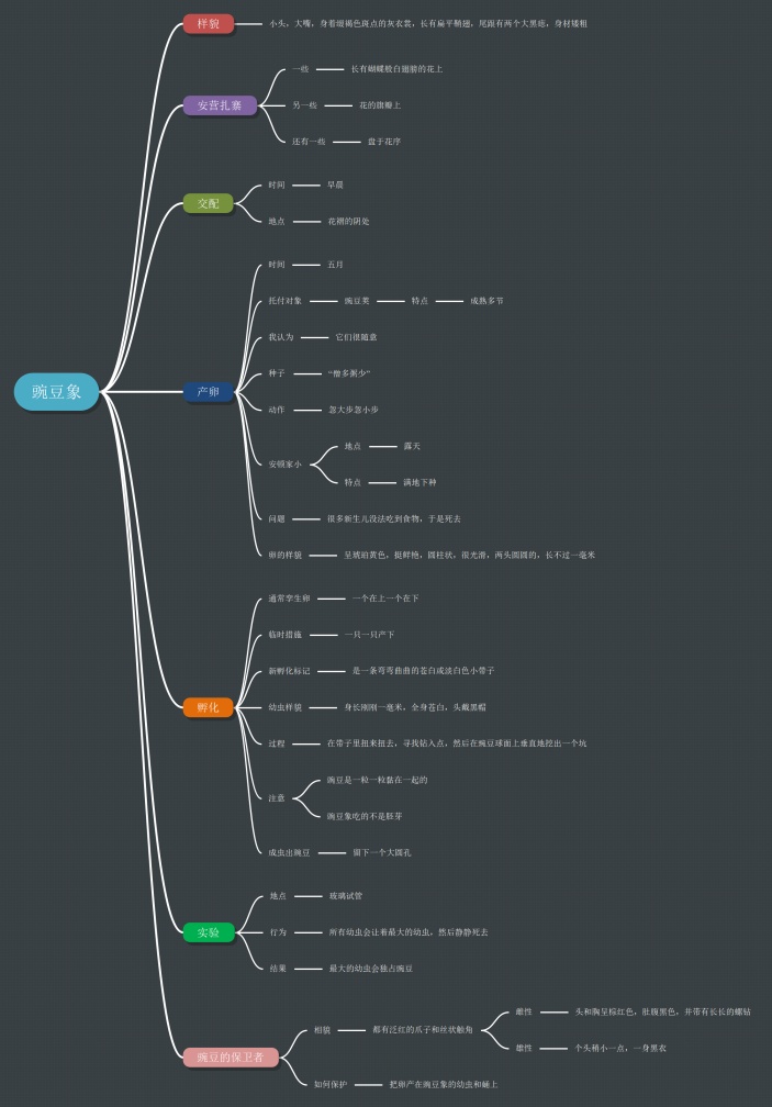 《昆虫记》第十一章豌豆象思维导图