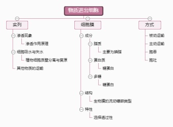 物质进出细胞思维导图模板
