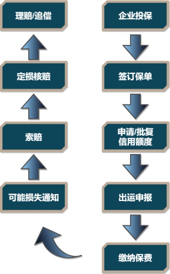 短期出口信用保险业务流程图模板