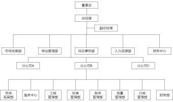 大型物业公司组织结构图模板