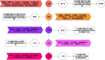 电商客服晋升时间轴流程图模板