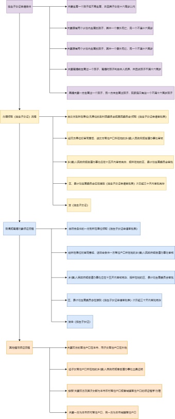 独生子女证办理流程图模板