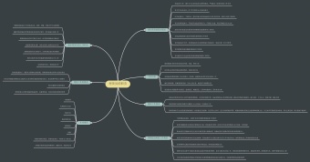 理货员的职责思维导图模板