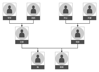 家庭成员图模板