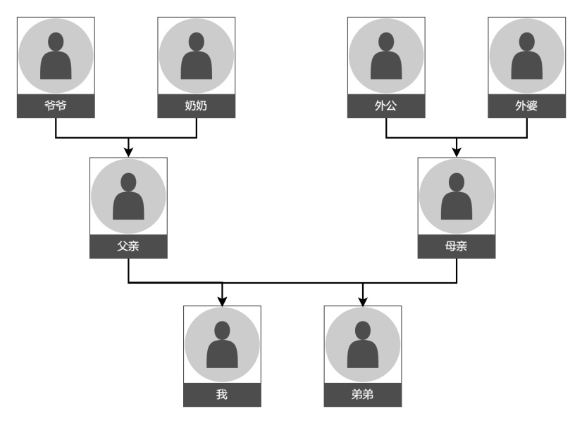 家庭成员图|迅捷画图,在线制作流程图