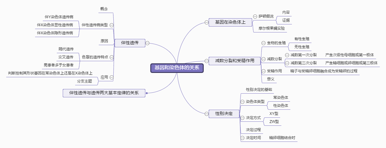 迅捷思维导图