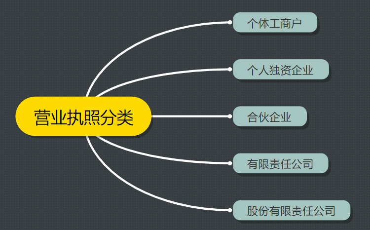 营业执照分类