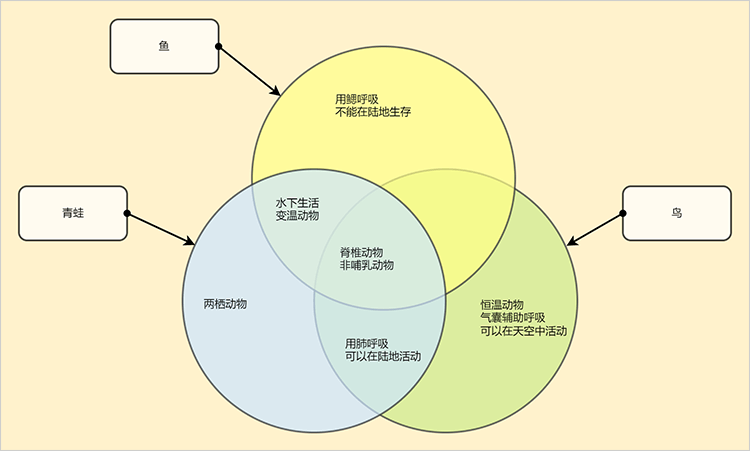 动物共同点韦恩图