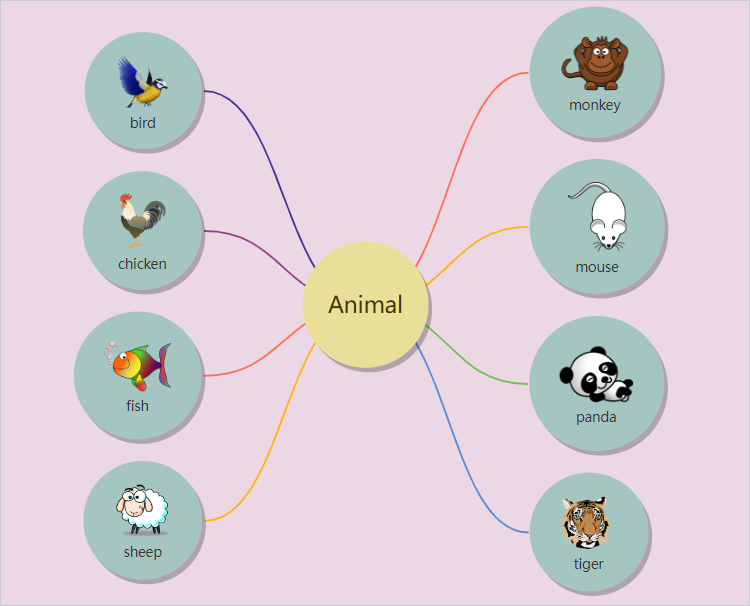 动物单词思维导图