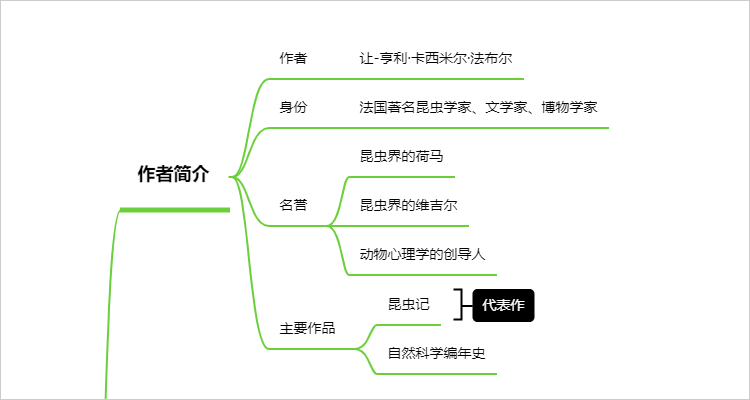 昆虫记人物思维导图图片