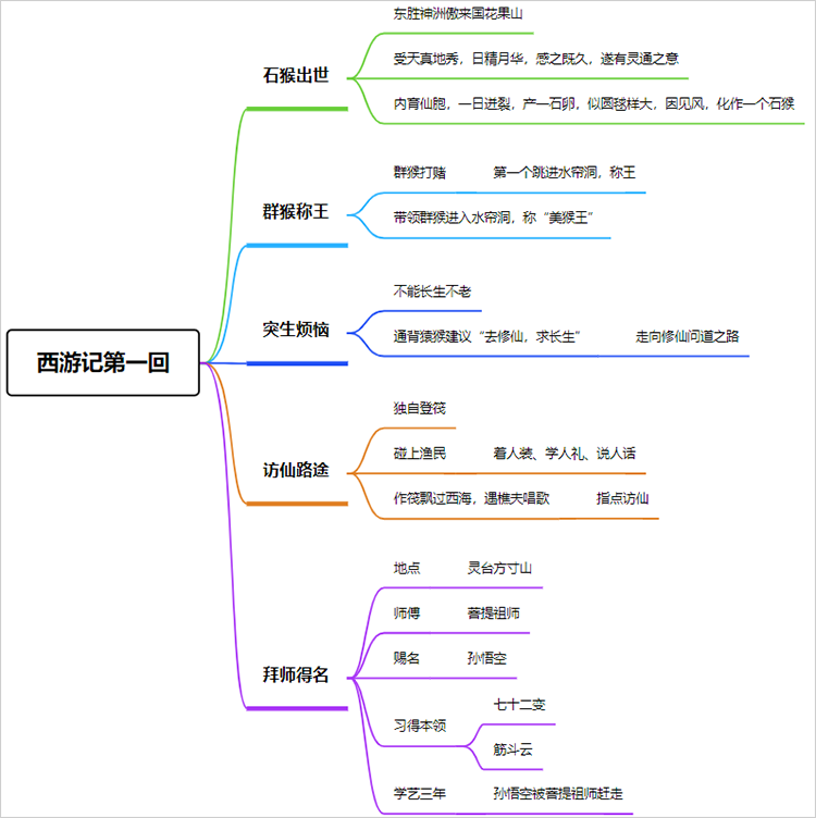 白桦思维导图简单图片