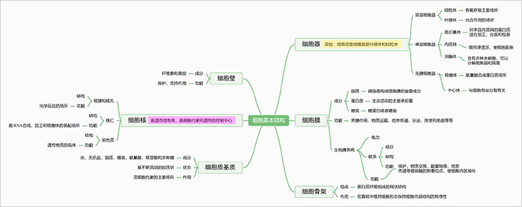 提升记忆与理解