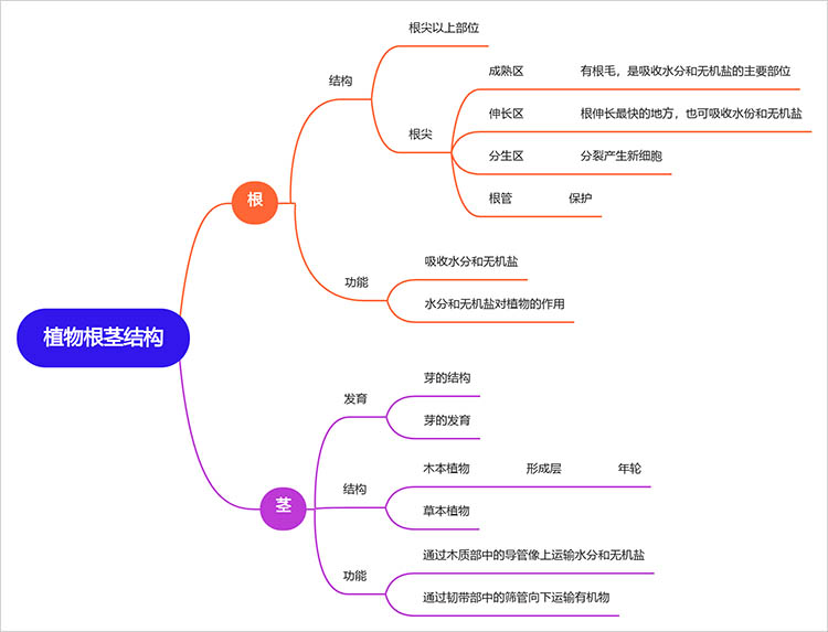 植物根茎结构思维导图