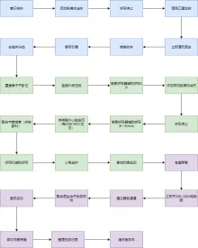 抢救流程图