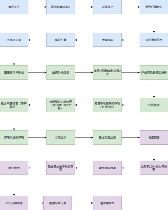 抢救流程图模板