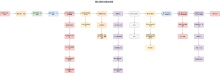 婚礼策划方案及流程图模板