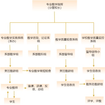 教学流程图模板