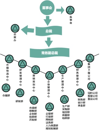 公司管理组织结构图模板