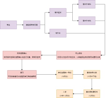 成人高考流程图模板