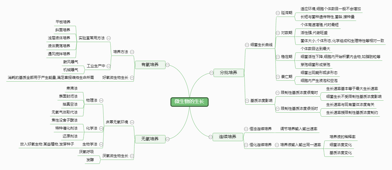 微生物的生长思维导图