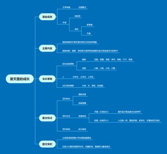 夏天里的成长思维导图模板