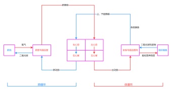 心脏的血液循环流程图模板