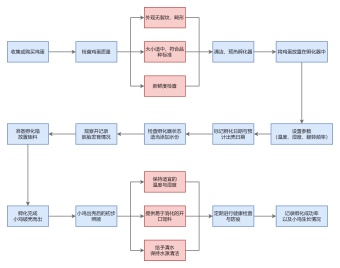 孵蛋过程的流程图模板