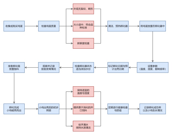 孵蛋过程的流程图