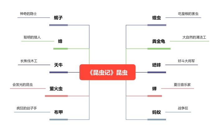 昆虫记之昆虫思维导图