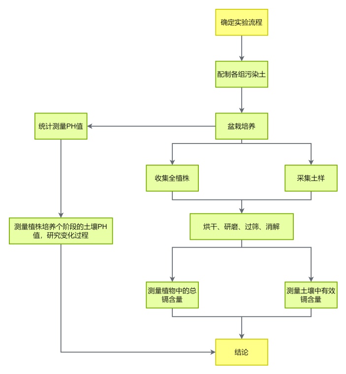 实验流程图